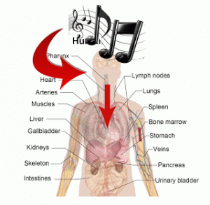Manfaat Mendengarkan Musik Bagi Kesehatan